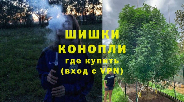 PSILOCYBIN Верхний Тагил